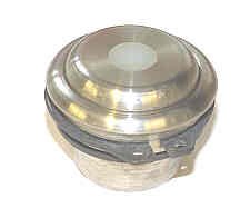 CAP, BUTTON, STAINLESS, ROUND, 5/16NYLON INSERT GAL # PB3-0004N