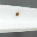 HANDRAIL GUIDE, RETURN, 10 FOOT LENGTH