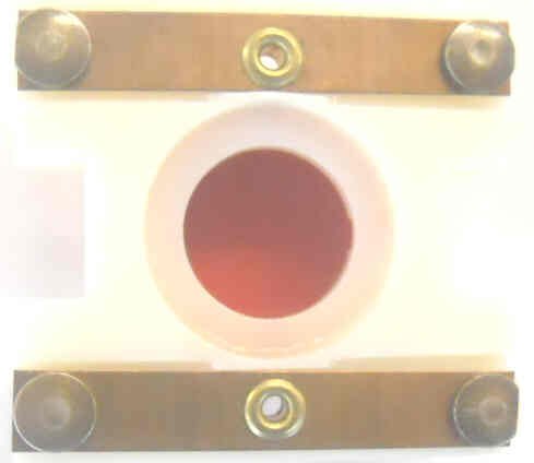 BUTTON, MONITOR, COMPLETE, RED WITH WHITE MARKING (SPECIFY)