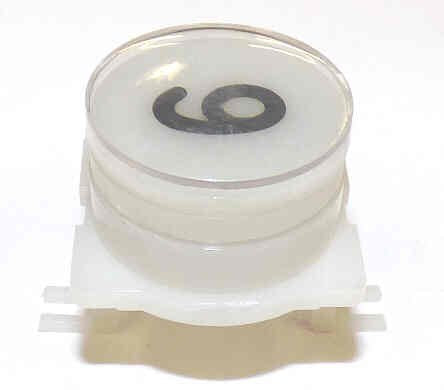 BUTTON, EXTENDED CAP FOR CALIFORNIA, WESTINGHOUSE A LINE # 6