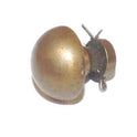 BUTTON, MUSHROOM TOP, BRASS WITH STEM, FITTING AND COTTER PIN
