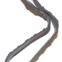 BAND, RUBBER, ROTODIAL, CHARACTER MOUNTING OTIS # 297F1