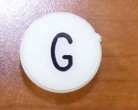 INSERT, P.I., WHITE, 1 1/8 DIAMETER, ENGRAVED G GAL #PID1-0031N