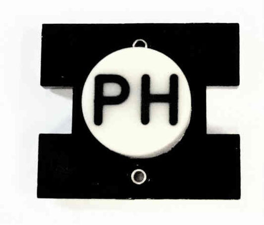 PRESSEL, BUTTON, MONITOR, WITH CONTACTS, WHITE, MARKED 'PH'  IN BLACK