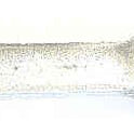 ARM, STEPPING, USES METAL GRAPHITE CONTACT, OBSOLETE