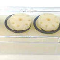 KIT, SOLENOID, USE WITH UC3A/3AM/1A/C1/C2A/C2 VALVES MAXTON #29298A-2