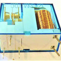 RELAY, SPDT, MINIATURE. PCB/PLUG-IN, 10A, 24V DC COIL FINDER # 40.31.7.024.0000