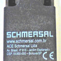 SWITCH, BUFFER, METAL PLUNGER, PLASTIC ROLLER 2 N.C. CONTS SCHMERSAL #ZR-236-11Z