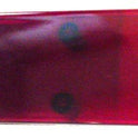 LENS, RED. ,2.75 x 1.38, 7069AG JEWEL, OTIS # 443CB1