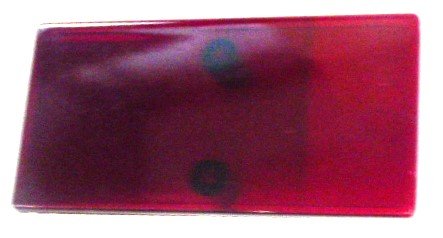 LENS, RED. ,2.75 x 1.38, 7069AG JEWEL, OTIS # 443CB1