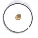 BUTTON, 7/8, BLACK, HOT STAMPED IN WHITE, MARKED 1 OTIS # 323BL2