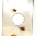 PLATE, COVER, HALL, TERMINAL, SS, FLAT OTIS # 147JF3-3