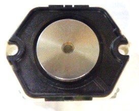 BUTTON, SS, CENTER DOT, 2 SETS N.O. CONTACTS, DUPAR